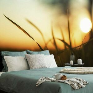 Öntapadó fotótapéta naplemente fűben kép