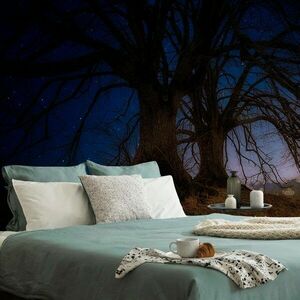 Öntapadó tapéta fák az éjszakai tájon kép