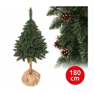Karácsonyfa PIN 180 cm fenyő kép