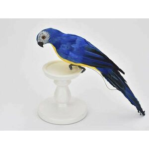 Papagáj kék - sárga 36cm kép
