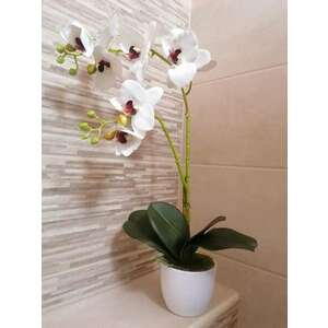 Kétágú orchidea dekor kerámia kaspóban kép