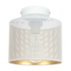 HEXE Mennyezeti lámpa ALDO 1xE27/60W/230V á. 20 cm fehér kép