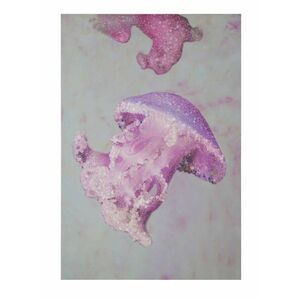Vászon kép, medúzák, 80x120 cm - MEDUSES - Butopêa kép