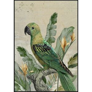 Vászon kép 70x100 cm, zöld papagáj - TROPIQUES - Butopêa kép