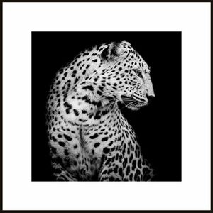 Falikép 50x50 cm, fekete-fehér - BAGUERRA - Butopêa kép