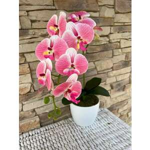 Orchidea 1 szálas kerámia kaspóban -rózsaszín árnyalatú kép