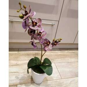 Lila orchidea dekor kép