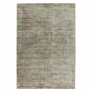 Barna szőnyeg 170x120 cm Blade - Asiatic Carpets kép
