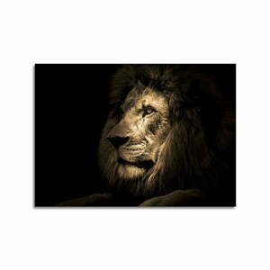 Üveg kép 70x100 cm Lion - Styler kép