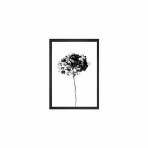 Poszter 24x29 cm Velvet Flower – Tablo Center kép