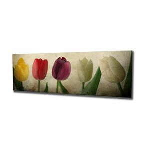 Vászon falikép, tulipánok, 80x30 cm, krémszínű - TULIPES - Butopêa kép
