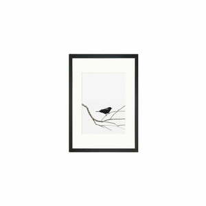 Poszter 24x29 cm Bird on the Branch – Tablo Center kép