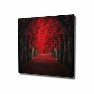 Red Trees vászon fali kép, 45 x 45 cm kép