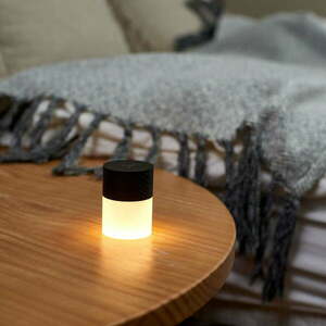 Lemelia fekete fa hordozható asztali lámpa - Gingko kép