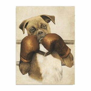 Boxer vászon fali kép, 30 x 40 cm kép