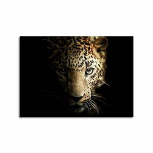 Üveg kép 70x100 cm Leopard - Styler kép