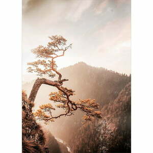 Üveg kép 50x70 cm Brown Tree – Styler kép