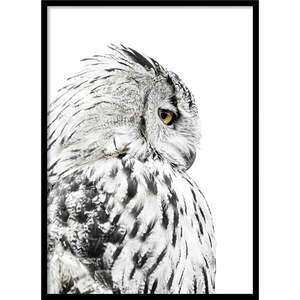 Keretezett poszter 50x70 cm Owl – Styler kép