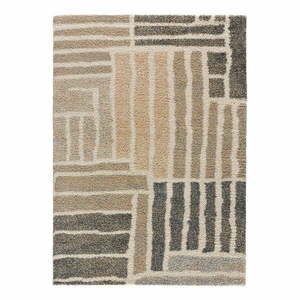 Szürke-bézs szőnyeg 160x230 cm Cesky – Universal kép