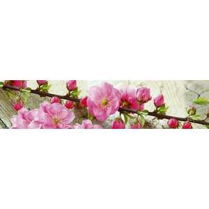 Virágzó cseresznyefaág, konyhai matrica hátfal, 260 cm kép