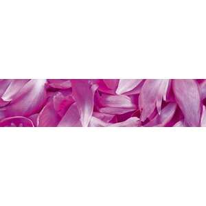 Rózsaszín virágszirmok, konyhai matrica hátfal, 260 cm kép
