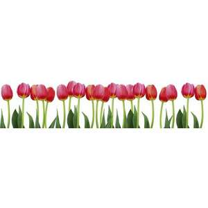 Tulipánok, konyhai matrica hátfal, 260 cm kép