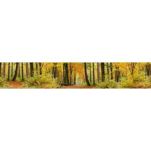 Őszi erdő, konyhai matrica hátfal, 350 cm kép