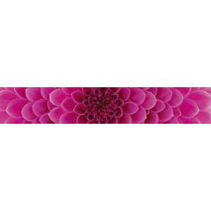 Rózsaszín virág, konyhai matrica hátfal, 350 cm kép