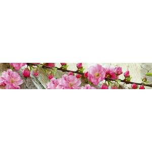 Virágzó cseresznyefaág, konyhai matrica hátfal, 350 cm kép