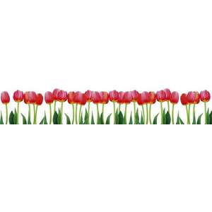 Tulipánok, konyhai matrica hátfal, 350 cm kép
