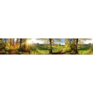 Napfényes erdei út, konyhai matrica hátfal, 350 cm kép