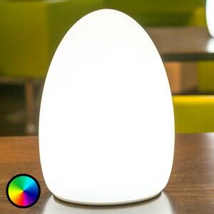 Egg - alkalmazással vezérelt dekoratív fény újratölthető akkumulátorral kép