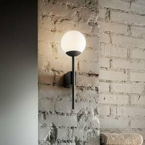 OLEV La Pallina fali lámpa, gömbbúra, fekete kép