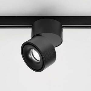EggerClippo LED spotlámpa sínre dim-to-warm fekete kép