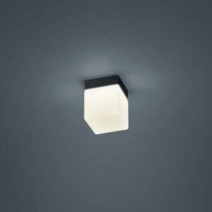 Helestra Keto LED mennyezeti lámpa, kocka, fekete kép