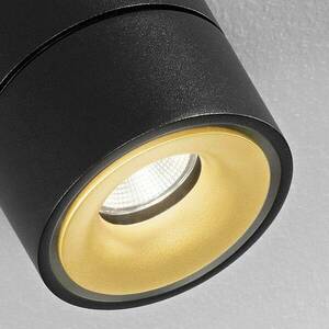 Egger Clippo Duo LED spot, fekete-arany, 2 700 K kép