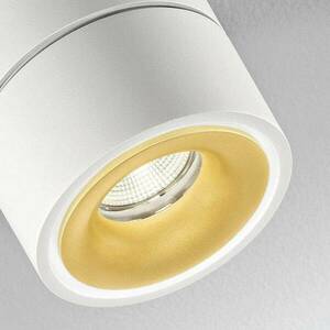 Egger Clippo Duo LED spotlámpa fehér-arany 3000K kép