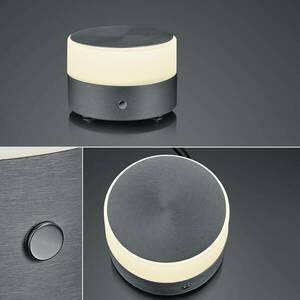 BANKAMP Button LED lámpa magassága 11 cm antracit kép