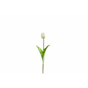 LEONARDO SAVONA tulipán 36cm, fehér kép