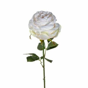LEONARDO POESIA rózsa 67cm, krém kép