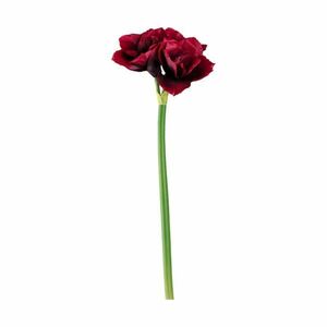 LEONARDO STELLA amaryllis 70cm, sötét piros kép