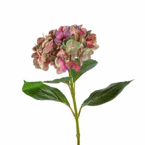 LEONARDO POESIA hortensia 54cm, rózsaszín kép