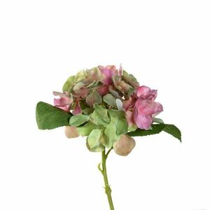 LEONARDO POESIA hortensia 33cm, rózsaszín kép