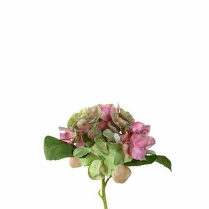 LEONARDO POESIA hortensia 18cm, rózsaszín kép