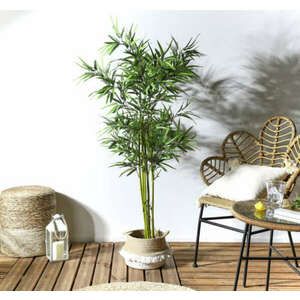 Bambusz cserépben 150 cm (műnövény) kép