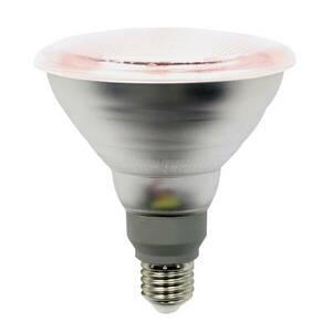 LED növényi lámpa E27 PAR38 12W 50° sugárz. szög kép