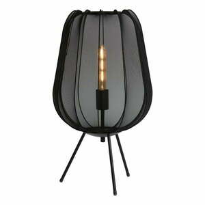 Fekete asztali lámpa (magasság 60 cm) Plumeria – Light & Living kép