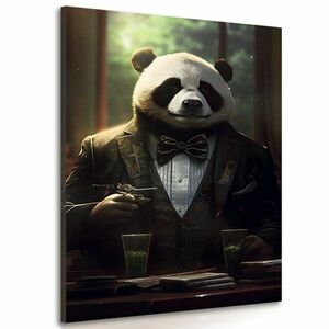 Kép állat gengszter panda kép