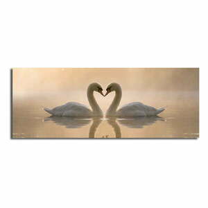 Swan Love vászon kép, 90 x 30 cm kép