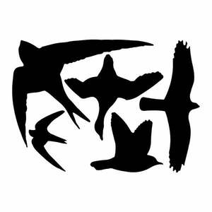 Birds fekete ablakmatrica szett - Esschert Design kép